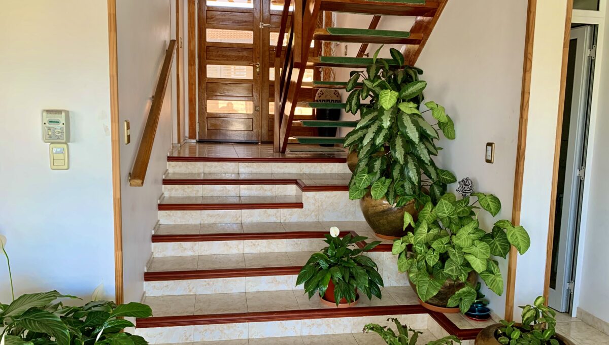 FB276E2A-9BEB-4EA9-ADC0-DEEACFA1EA17_1_201_a