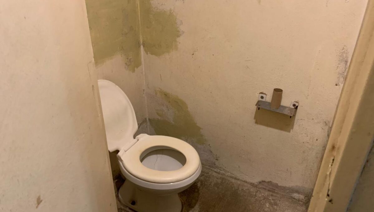 WhatsApp Image 2024-08-13 at 19.48.56 (12)