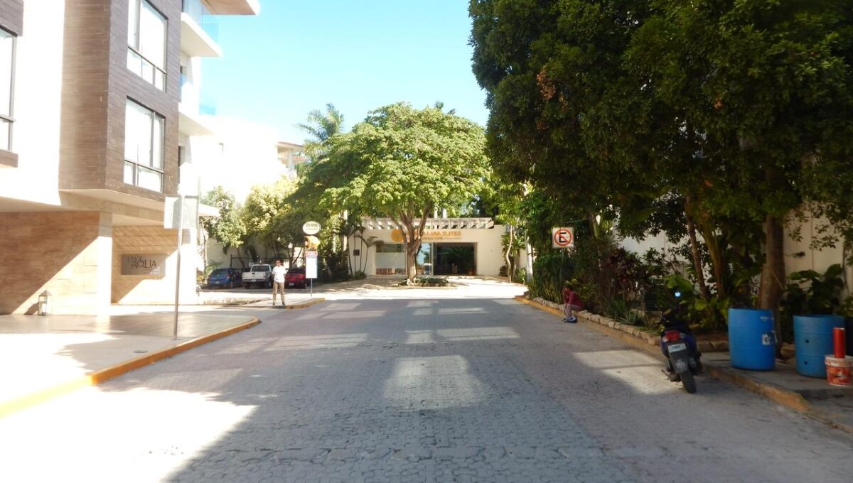 WhatsApp Image 2024-08-15 at 19.31.07 (4)